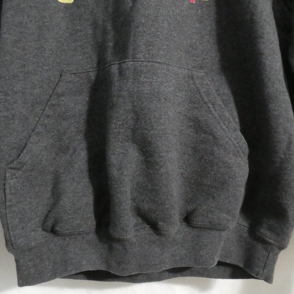 CHAMPION ECO FLEECE Future Friendly Youth X-Large (14-16) charcoal hoodie, GUC - Picture 8 of 16